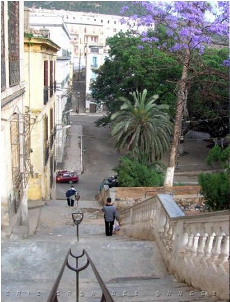 Rue Decugis 3.jpg
